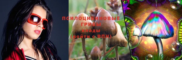молекула духа Абинск