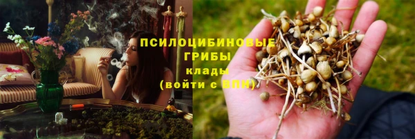 СК Абаза